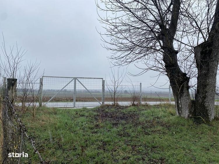 Teren de 1203 mp, în Comana