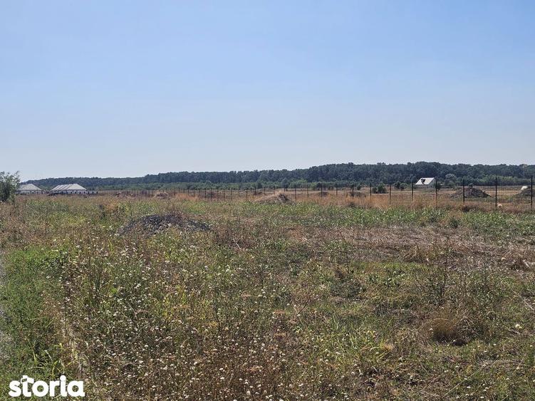Teren de 504 mp, în Corbeanca