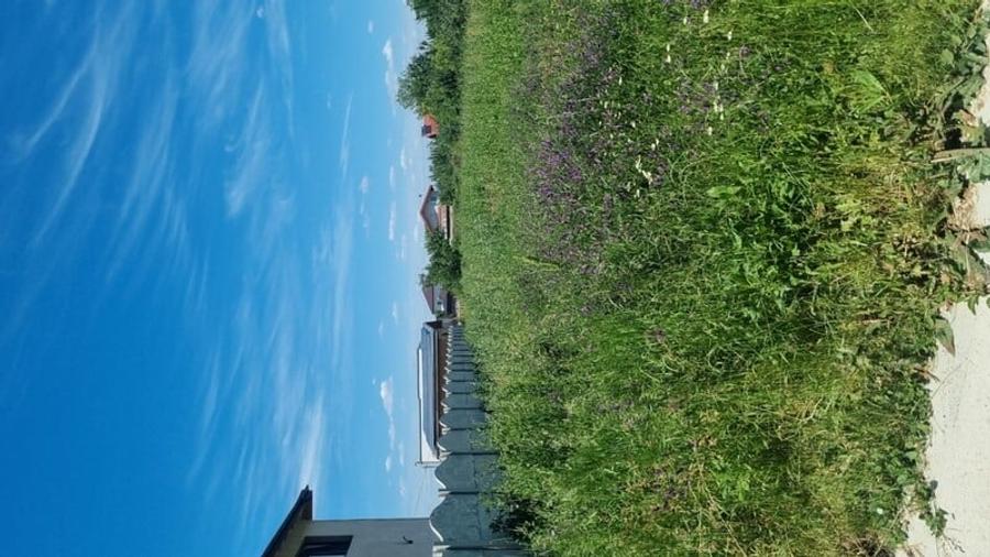 Teren Construcții intravilan de 800 mp, în 1 Decembrie