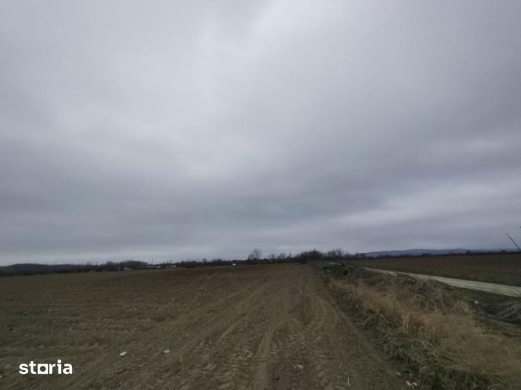 Teren de 15000 mp, în Gura Ocniței