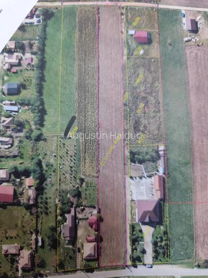 Teren de 10600 mp, în Gligorești