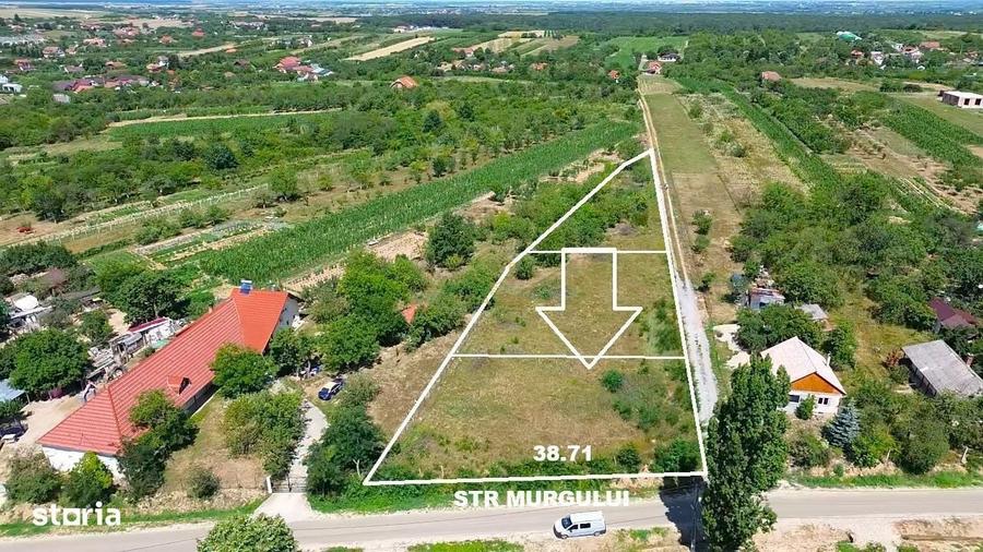 Spațiu comercial, în Dănești