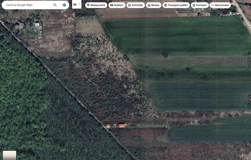 Teren intravilan de 4701 mp, în Snagov