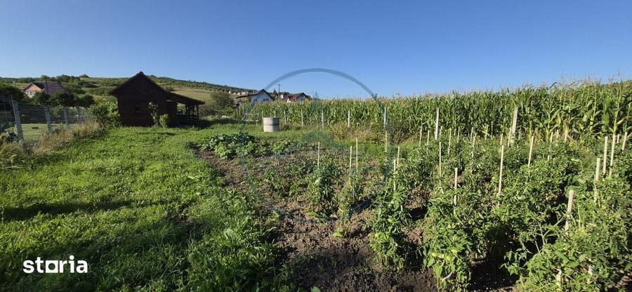 Casă cu 1 camere cu Teren 1000 Mp în Șieu