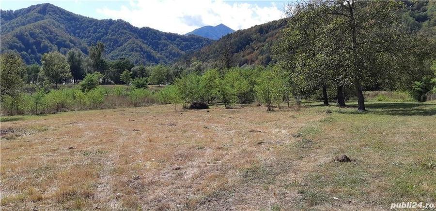 Teren de 4150 mp, în Drăgănești (Brezoi)