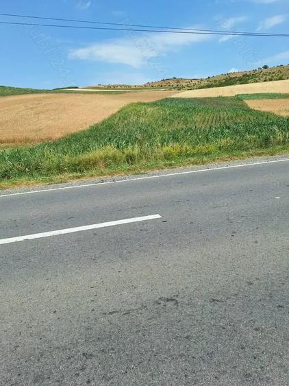 Teren de 5800 mp, în Gădălin