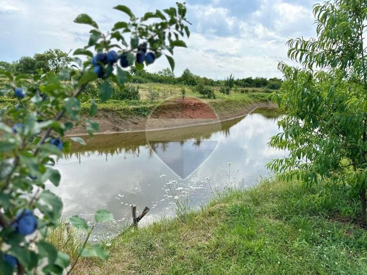 Teren agricol extravilan de 29656 mp, în Bozânta Mică