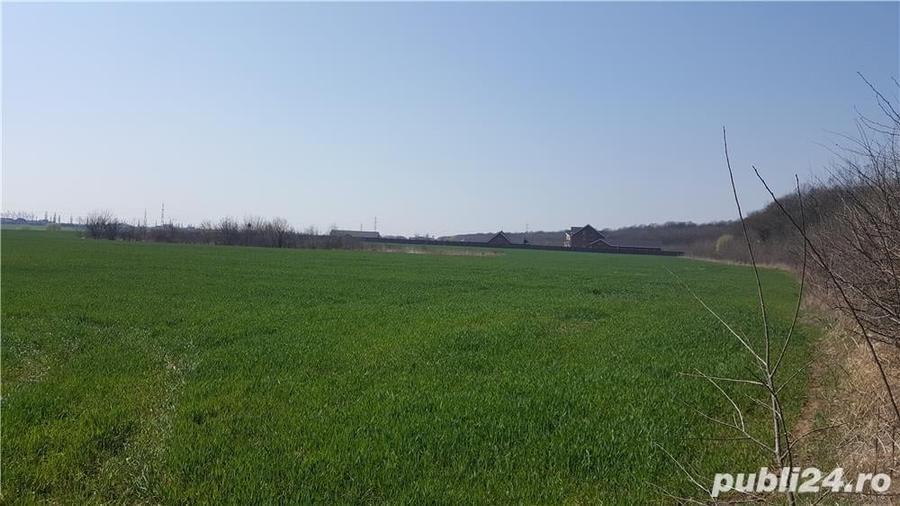 Teren de 16729 mp, în Balotești