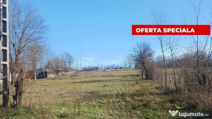 Teren intravilan com. Rociu sat Gliganu de Sus - 2