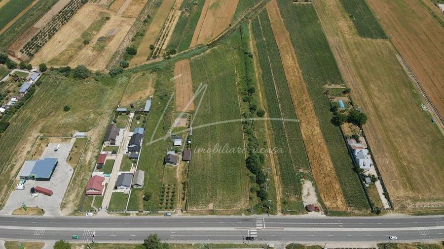 Teren Construcții intravilan de 7427 mp, în Argeșelu