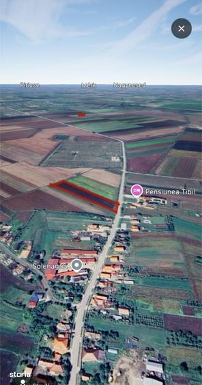 Teren extravilan 10.000 mp Acas, jud. Satu Mare - 7