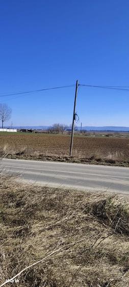 Teren de 1630 mp, în Luizi-Călugăra