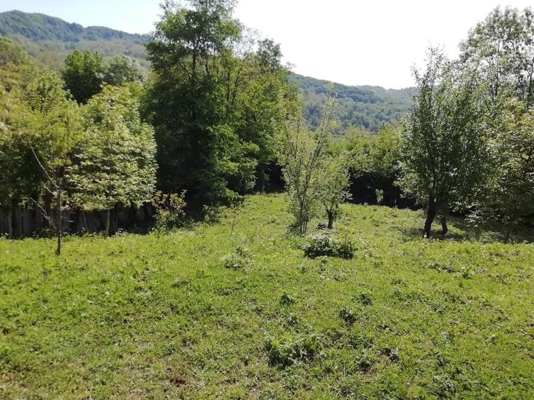 Teren Construcții intravilan de 2031 mp, în Bela
