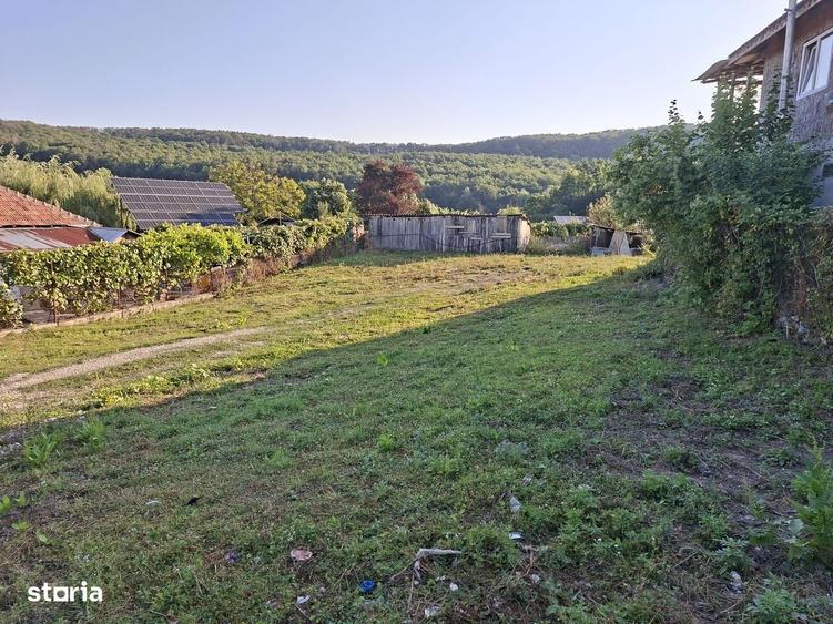 Teren in Goranu 650 mp cu toate utilitatile - 2