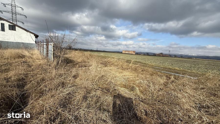 Teren de 650 mp, în Letea Veche