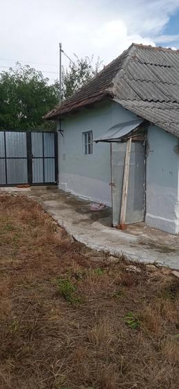 Casă cu Teren 5000 Mp în Miheleu