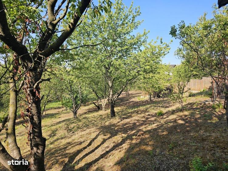 Vila rustica cu teren ca la munte 1291 mp semi central Iasi - 11