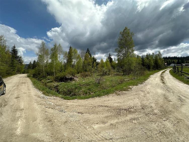 Teren Construcții intravilan de 6000 mp, în Șaru Dornei