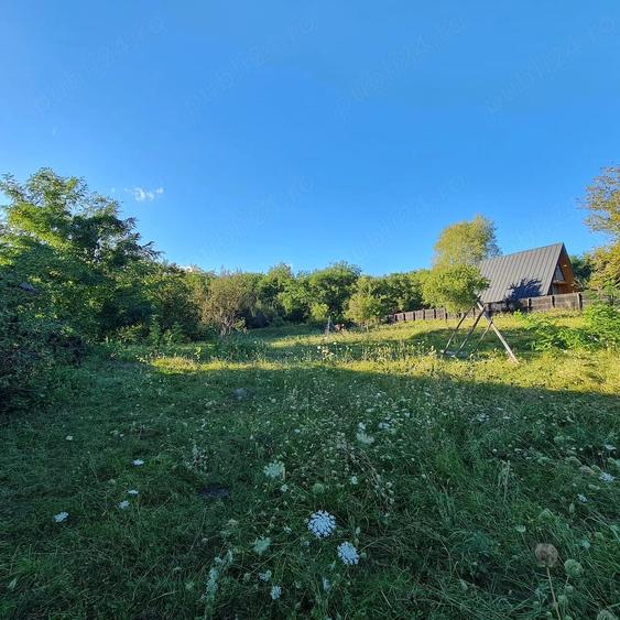 Teren de 2000 mp, în Prosia