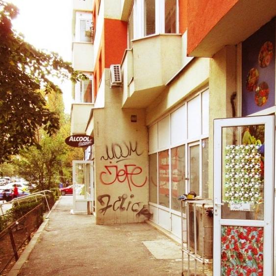Spațiu comercial, de 74 mp, în Teiul Doamnei