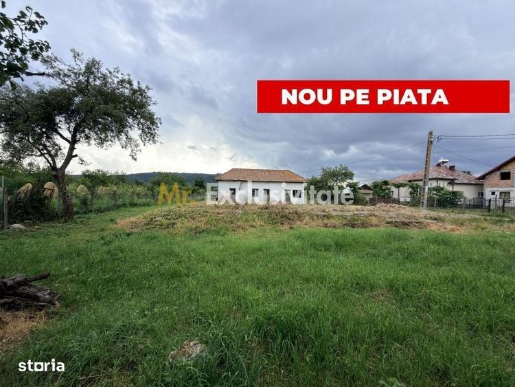 Spațiu comercial, în Dumirești