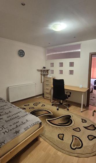Apartament 2 camere- Calea Sagului, Timisoara - 11