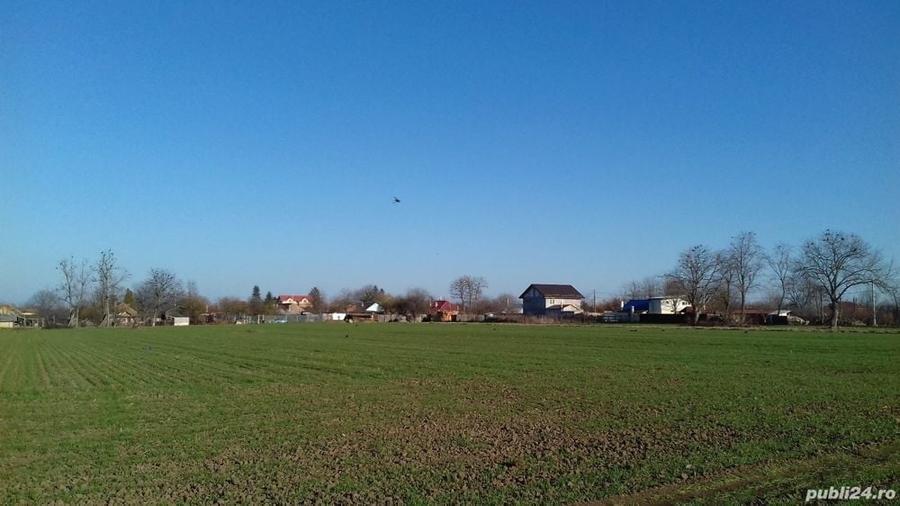 Teren de 1400 mp, în Surlari