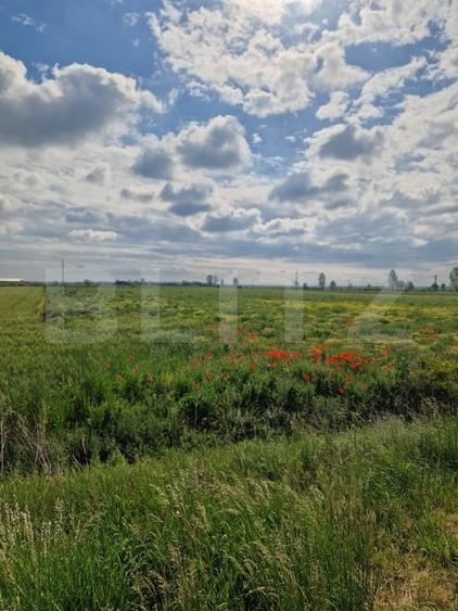 Teren agricol extravilan de 20000 mp, în Exterior Vest