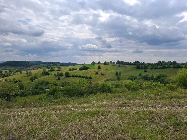 Teren de vanzare Ro?ia, Bihor - 9