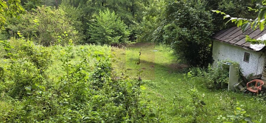 Teren Construcții intravilan de 15000 mp, în Telega