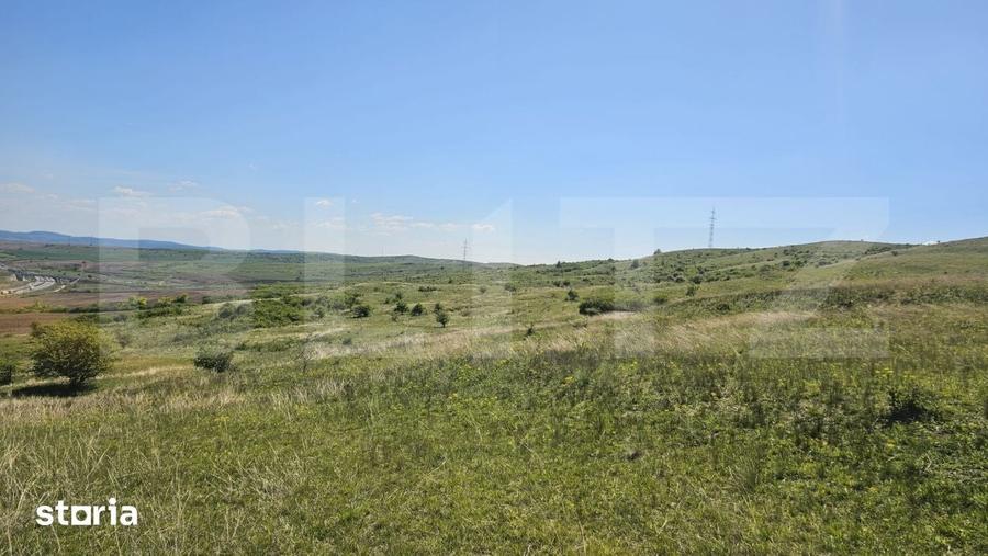 Teren de 61500 mp, în Moldovenești