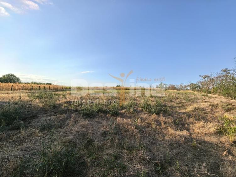 Teren Construcții intravilan de 7600 mp, în Cârniceni