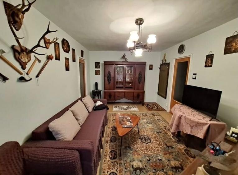Apt 2 camere 300 euro - 1