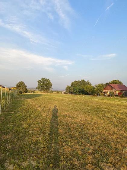 Teren de 1100 mp, în Central