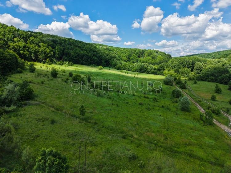 Teren agricol extravilan de 5500 mp, în Valea Mare-Podgoria