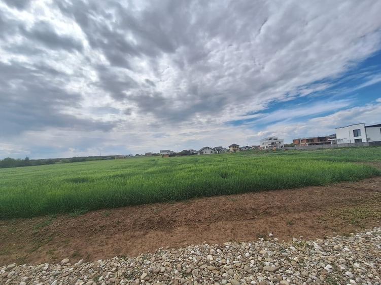 Teren Construcții intravilan de 696 mp, în Balotești