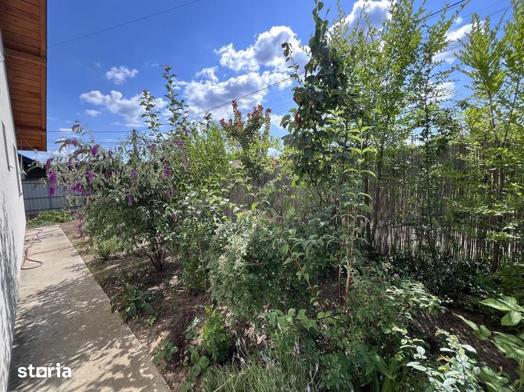 Casă cu 3 camere cu Teren 330 Mp în Bucium