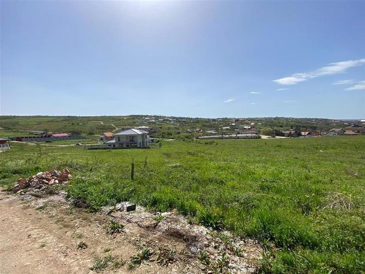 Teren Construcții intravilan de 842 mp, în Săldăbagiu de Munte