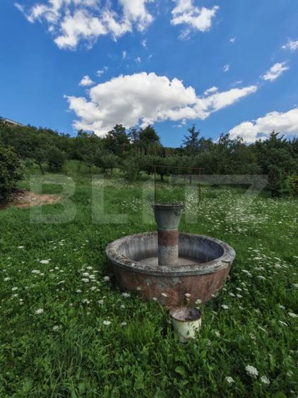 Casă cu 3 camere cu Teren 6218 Mp în Central