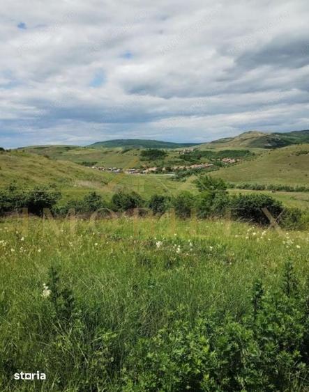 Teren de 2200 mp, în Baciu