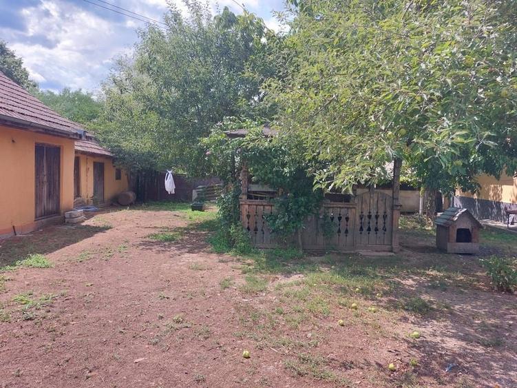 Casă cu 4 camere în Batia