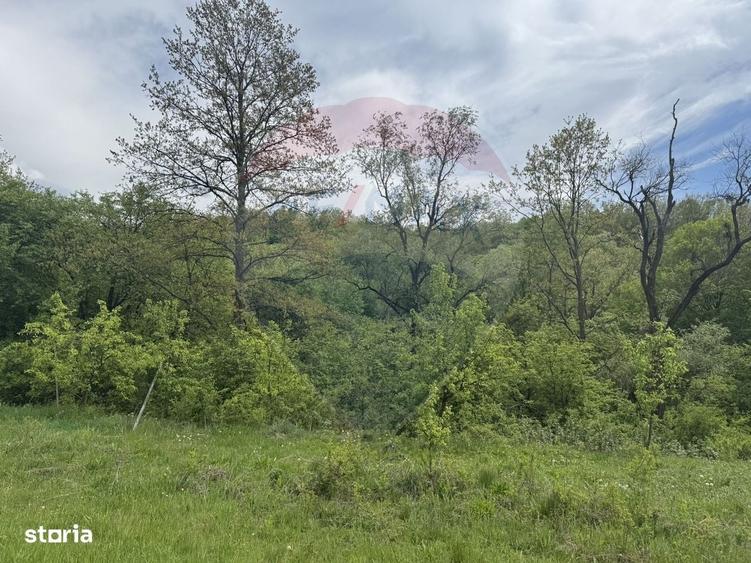 Casă cu 4 camere în Topa Mică
