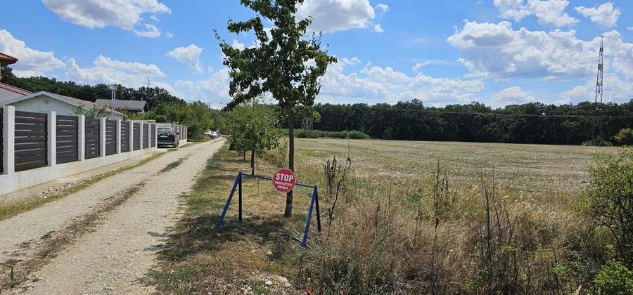 Teren Construcții intravilan de 14036 mp, în Balotești