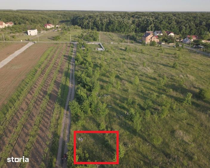 Branesti, 500mp, str. Violetelor, Lacul Pasarea, Padurea Cucu - 3