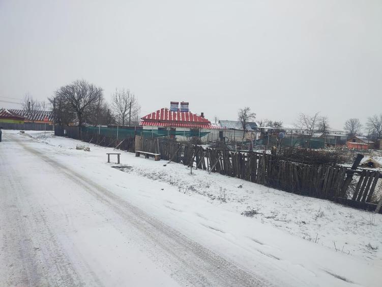 Teren Construcții intravilan de 3000 mp, în Petrești