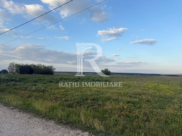 Teren agricol extravilan de 1923 mp, în Păușa