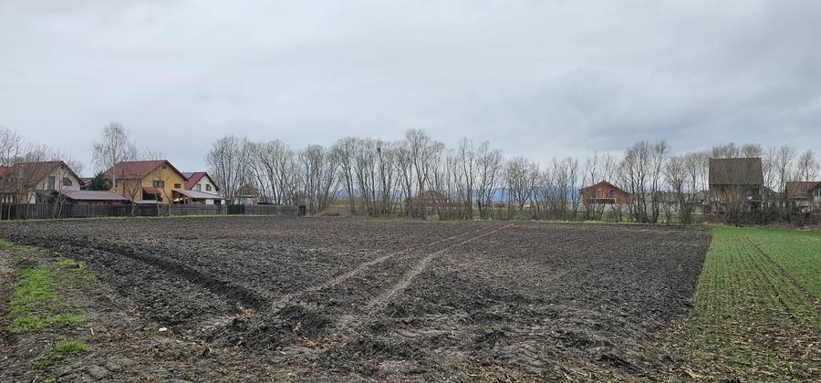 Teren Construcții intravilan de 3000 mp, în Hălchiu