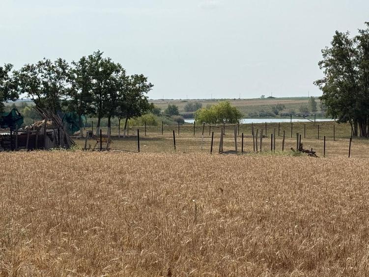Teren Construcții intravilan de 1203 mp, în Miersig