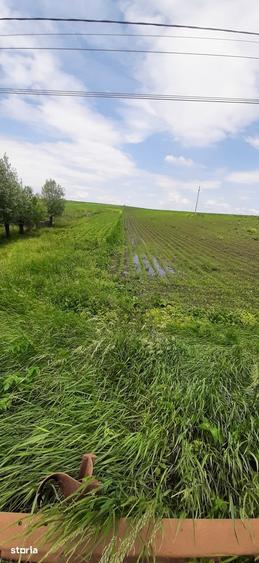 Teren de 13100 mp, în Vornicenii Mici