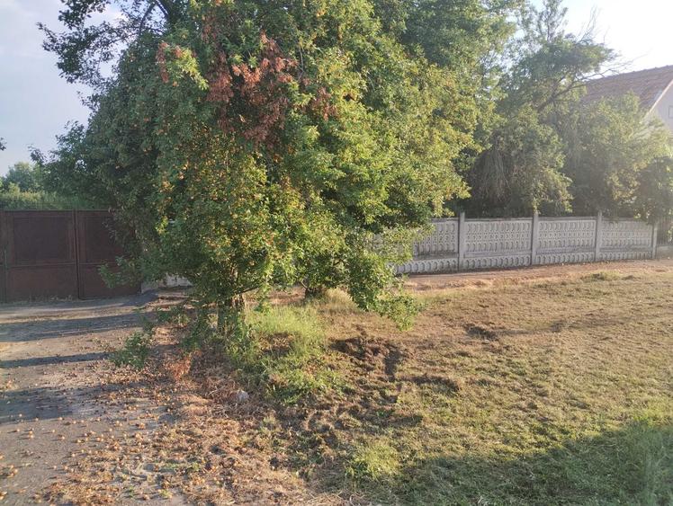 Casă cu 4 camere cu Teren 6153 Mp în Sinersig